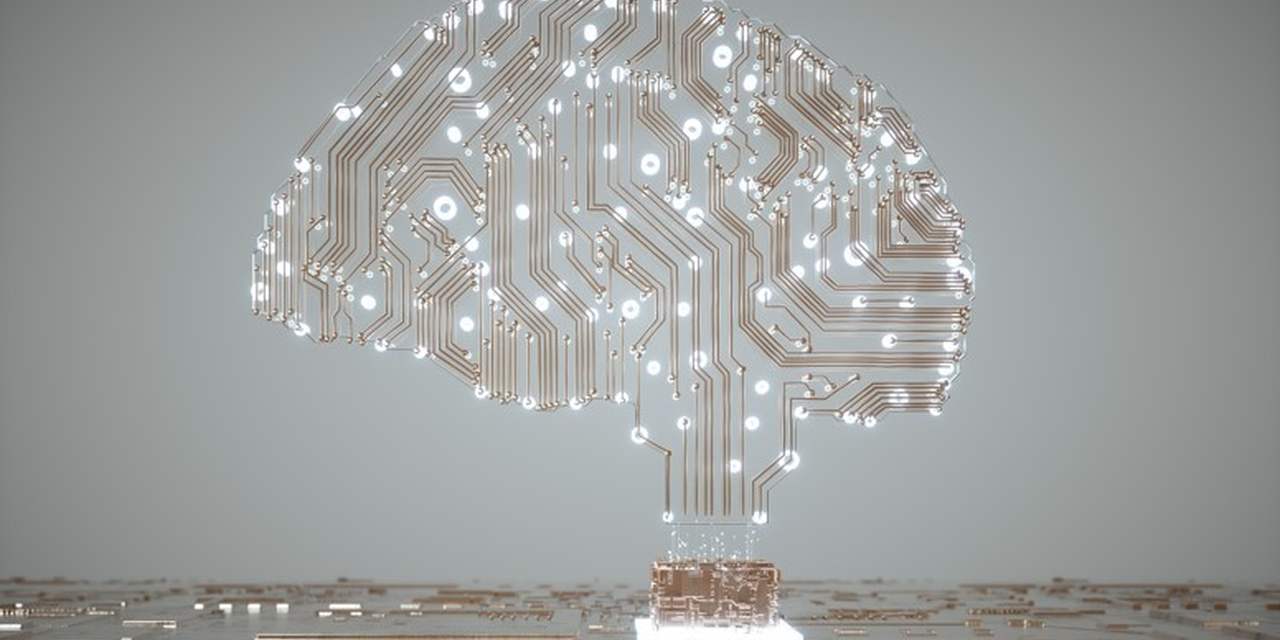 Wired brain