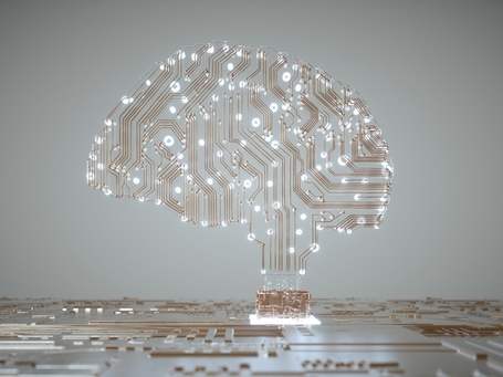 Wired brain